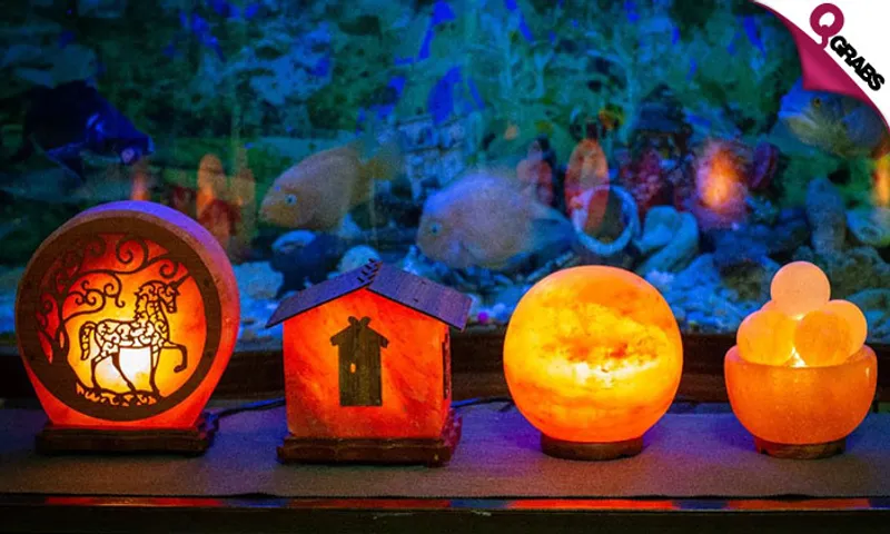 Himalayan Pink Salt Lamps!